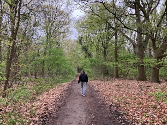 Stacaravan Huren In Het Hart Van Bosrijk Drenthe Op Recreatiepark De Tien Heugten Schoonloo Zewnętrze zdjęcie