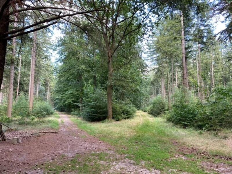 Stacaravan Huren In Het Hart Van Bosrijk Drenthe Op Recreatiepark De Tien Heugten Schoonloo Zewnętrze zdjęcie