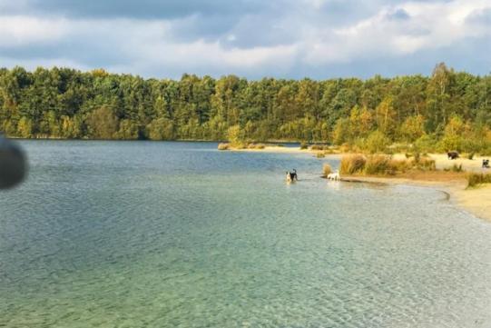 Stacaravan Huren In Het Hart Van Bosrijk Drenthe Op Recreatiepark De Tien Heugten Schoonloo Zewnętrze zdjęcie